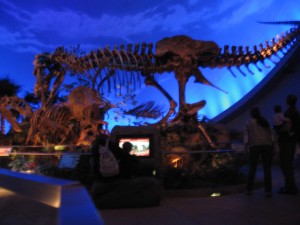 Exhibición sobre dinosaurios en el Museo de los chicos